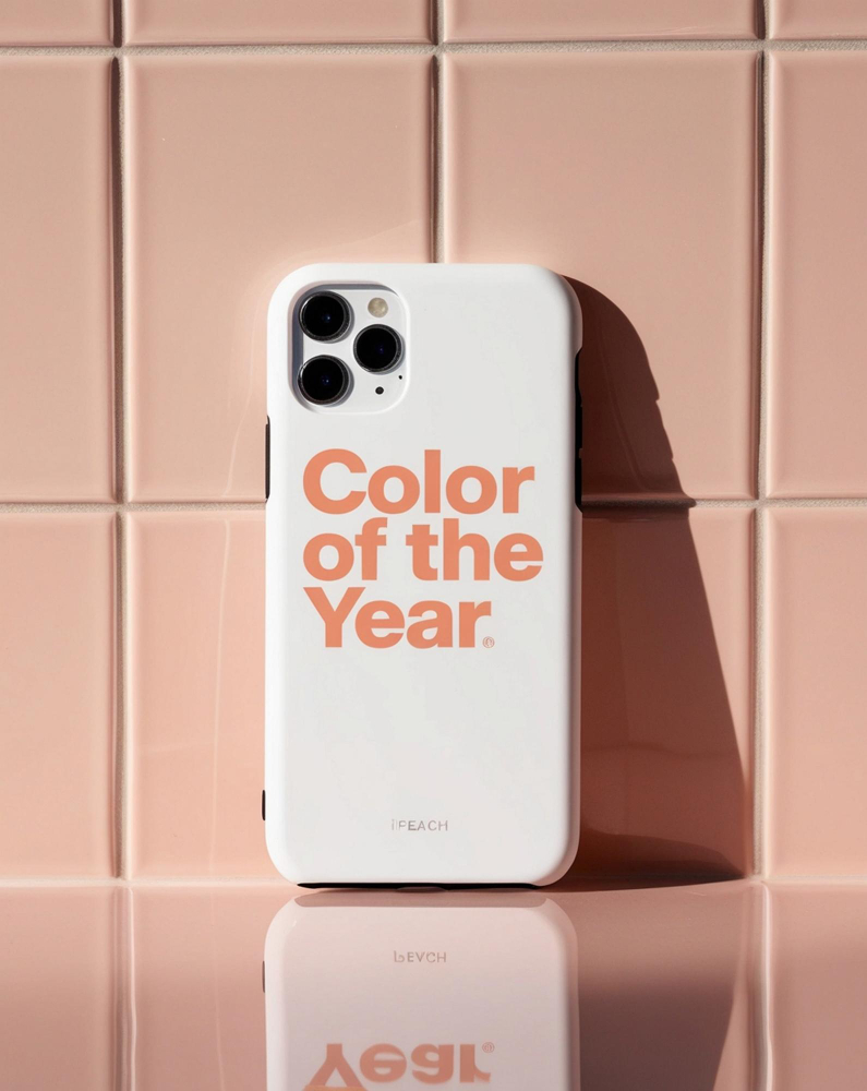 iphone 16 pro cases